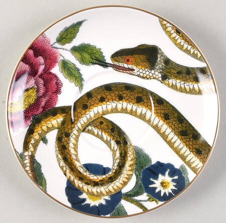 Creatures of Curiosity Saucer for Footed Cup