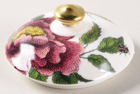 Creatures of Curiosity Lid for Sugar Bowl