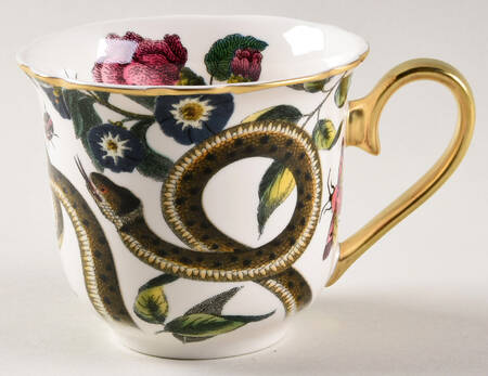 Creatures of Curiosity Flat Cup