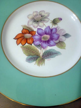 Y5435 Dinner Plate