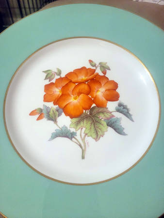 Y5435 Dinner Plate
