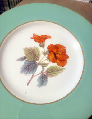 Y5435 Dinner Plate