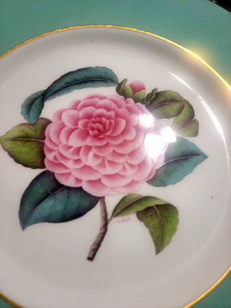 Y5435 Dinner Plate