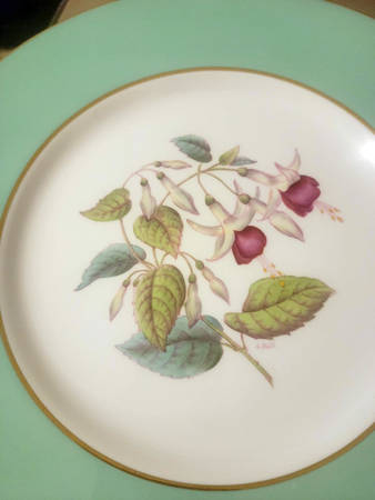 Y5435 Dinner Plate