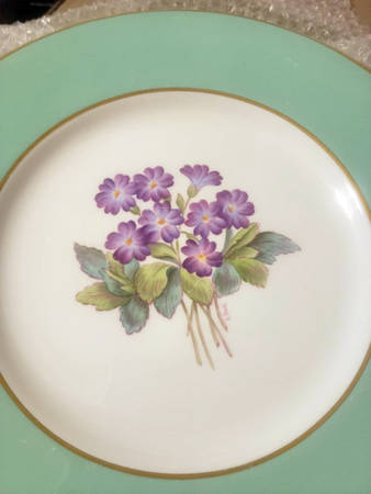 Y5435 Dinner Plate