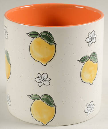 Lemon Bloom Medium Canister No Lid by Spectrum