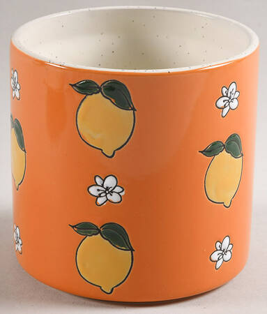 Lemon Bloom Small Canister No Lid by Spectrum