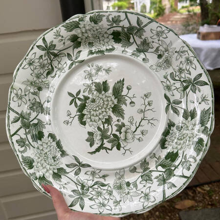 Aster Green by Spode