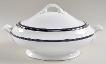 Lausanne Platinum by Spode