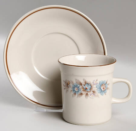 Blue Ridge Flat Cup & Saucer Set