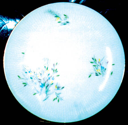 2022 Dinner Plate