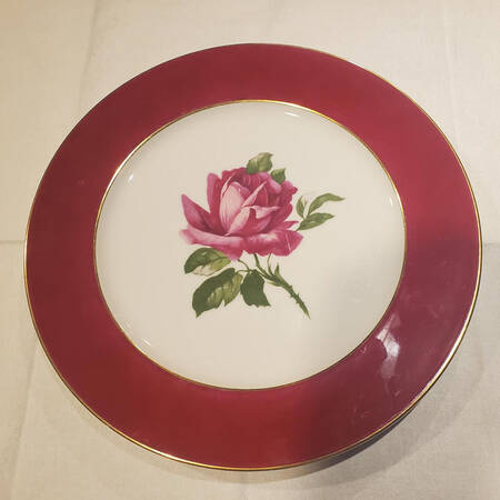 7381 (Various Color Rim) Dinner Plate