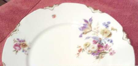 THO90 Dinner Plate