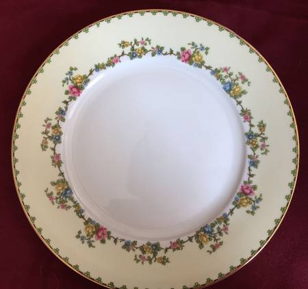 THU40 Dinner Plate