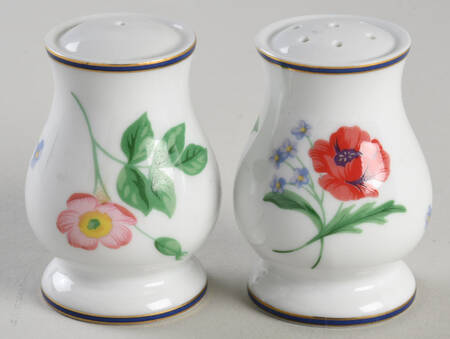 American Garden (France) Salt & Pepper Set