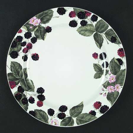 Raspberry Social Dinner Plate