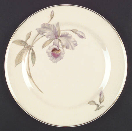 Orchid (Cream Background) by Tirschenreuth