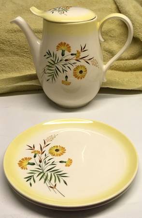 Shasta Daisy Coffee Pot & Lid