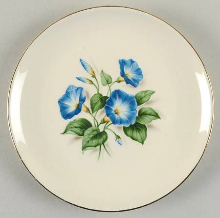 TST165 Bread & Butter Plate