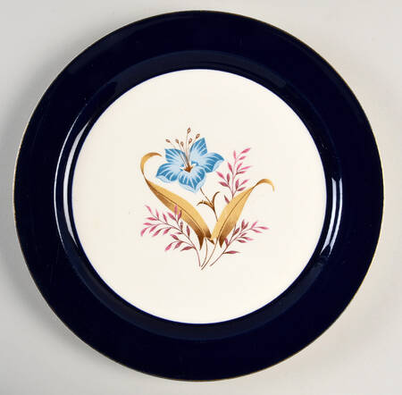 TST2 Dinner Plate