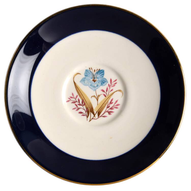 TST2 Saucer