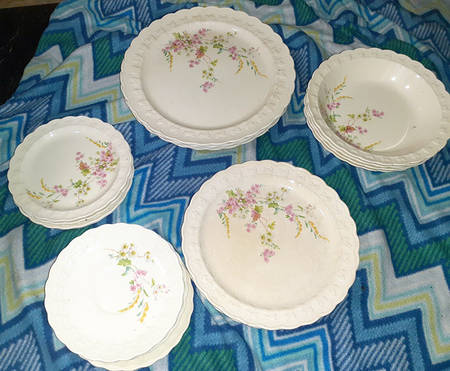 TST249 Dinner Plate