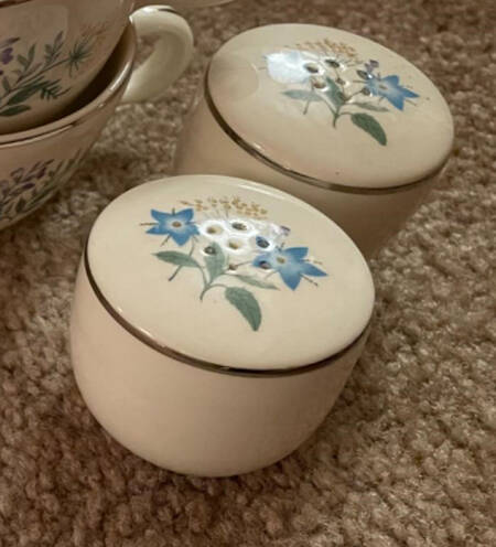 TST252 Salt Shaker