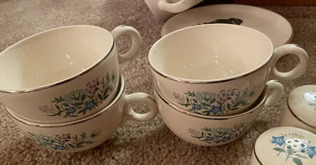 TST252 Flat Cup