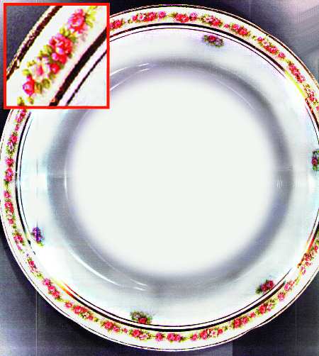 TST265 Dinner Plate