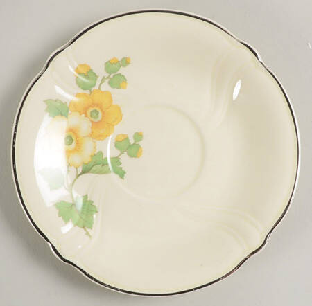 TST66 Saucer