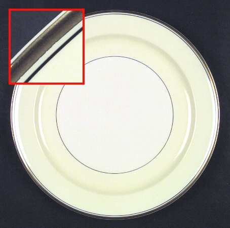 TST9 Dinner Plate