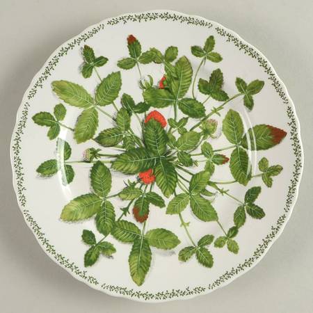 Natura Salad Plate