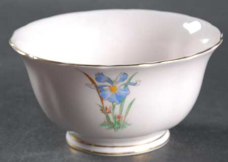 Blue Iris Open Sugar Bowl