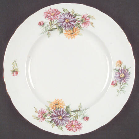 TUS21 Salad Plate
