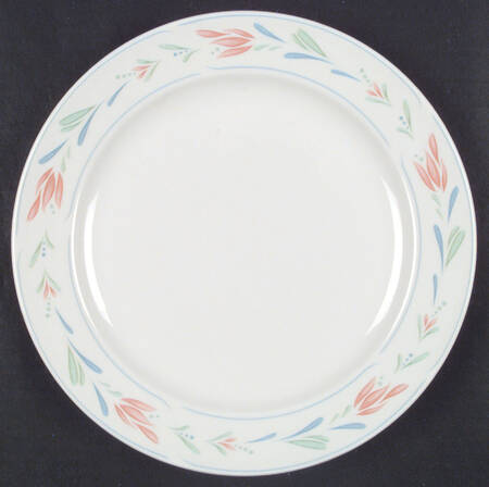 TUS7 Dinner Plate