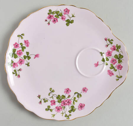Wood Sorrel Snack Plate