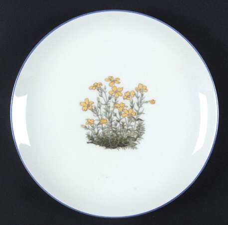 TAK2 Salad Plate