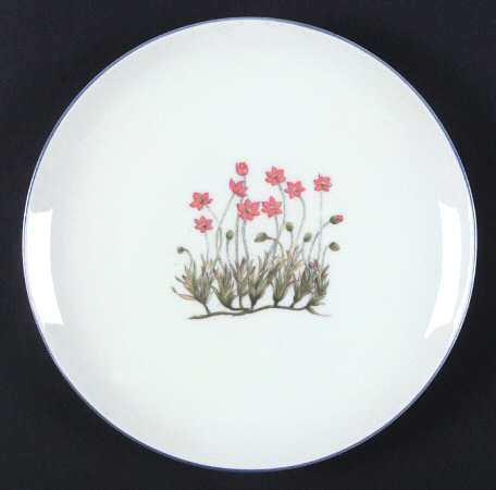 TAK2 Salad Plate