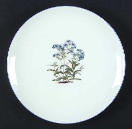 TAK2 Salad Plate