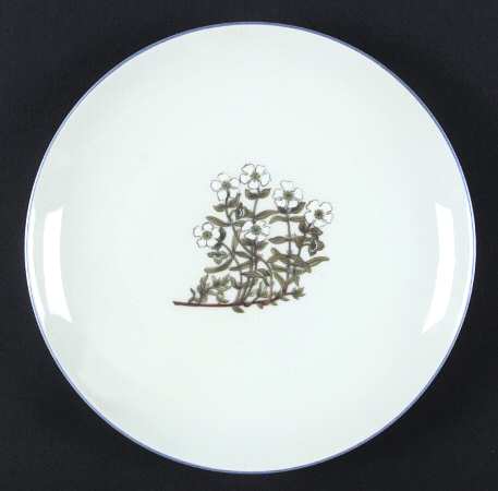 TAK2 Salad Plate