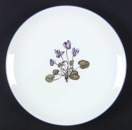 TAK2 Salad Plate