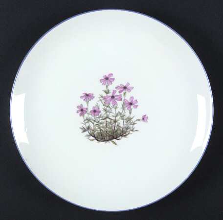 TAK2 Salad Plate