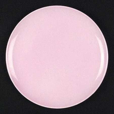 TST283 Dinner Plate