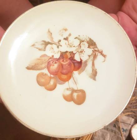 THO120 Salad Plate