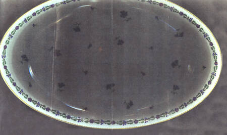 Villandry 15" Oval Serving Platter