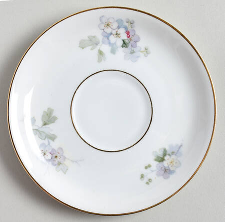 3214 Saucer