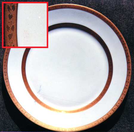 TIC15 Dinner Plate