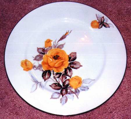 THC2 Dinner Plate