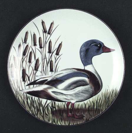 Duck Salad Plate