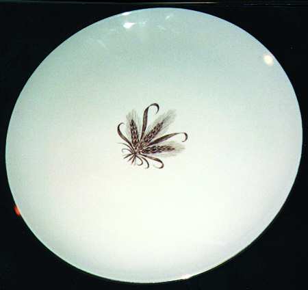 TST223 Dinner Plate